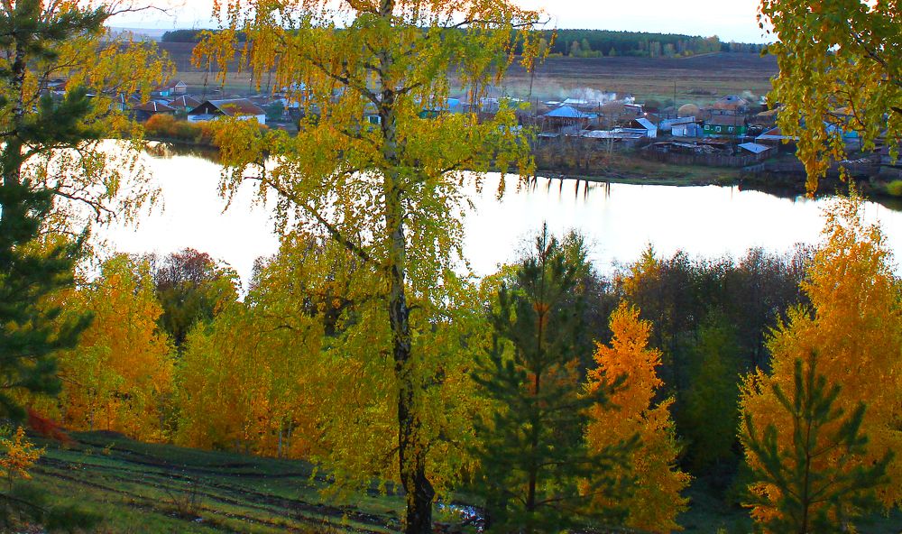 Деревенский пруд