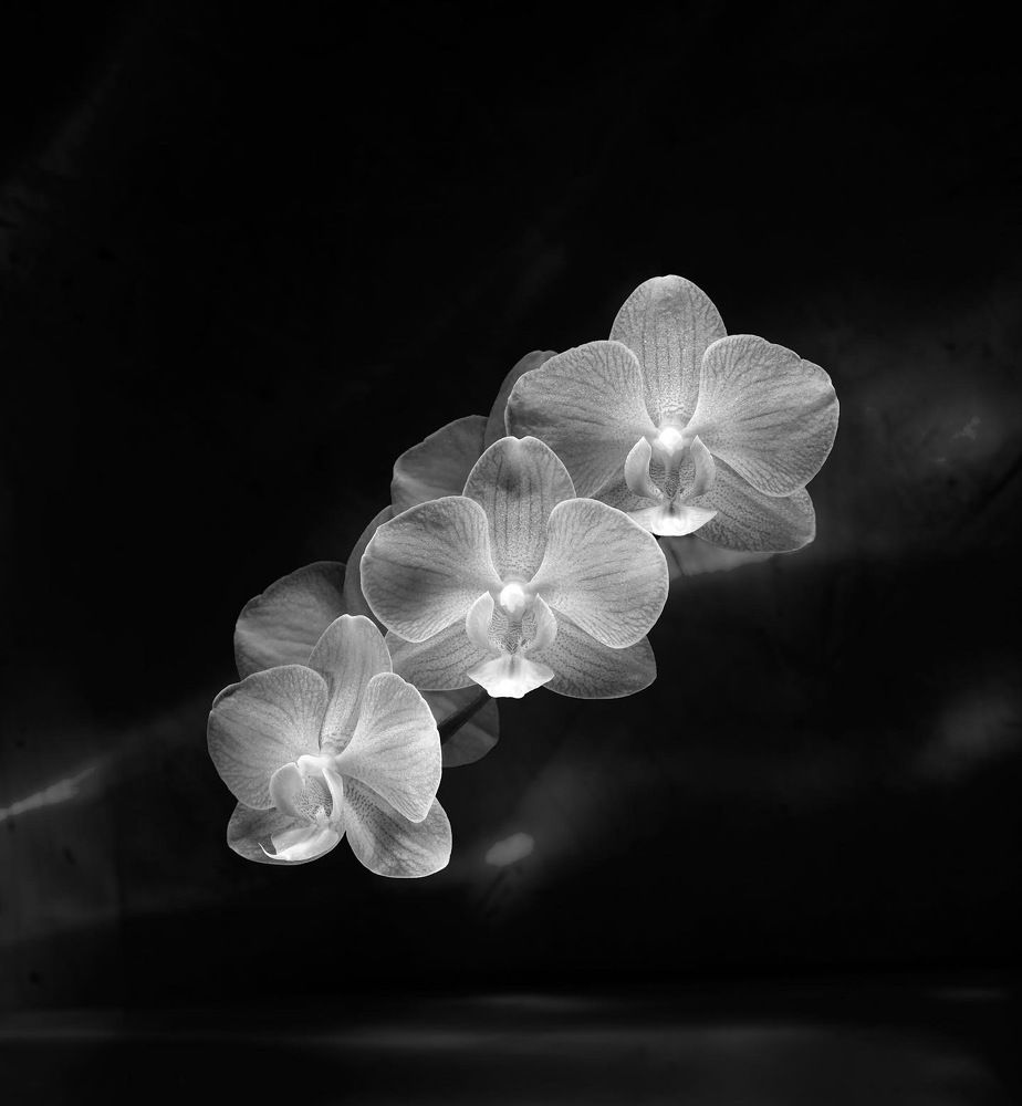 Archdea is in my kitchen