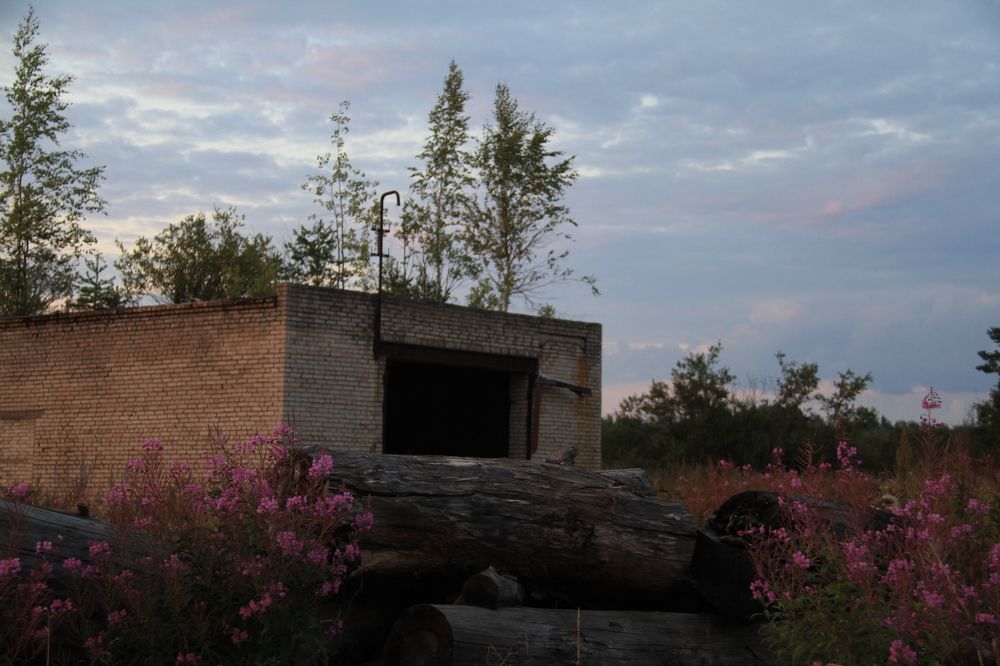 Фотография автора Анастасия Зверева