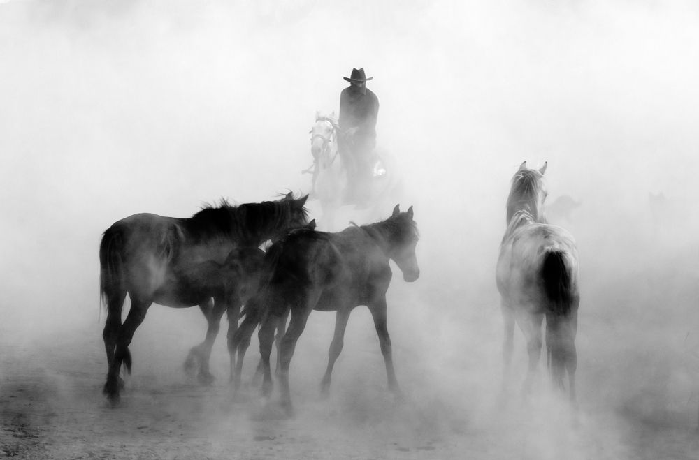 Фотография автора Gilcan Mete Delibay