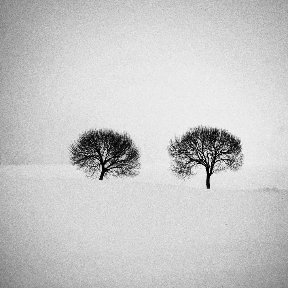 Photograph by Александр Соколов