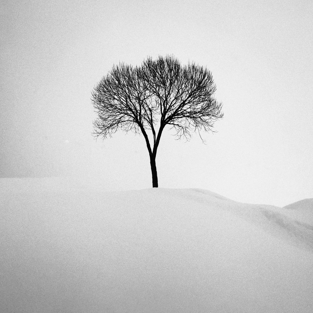 Photograph by Александр Соколов