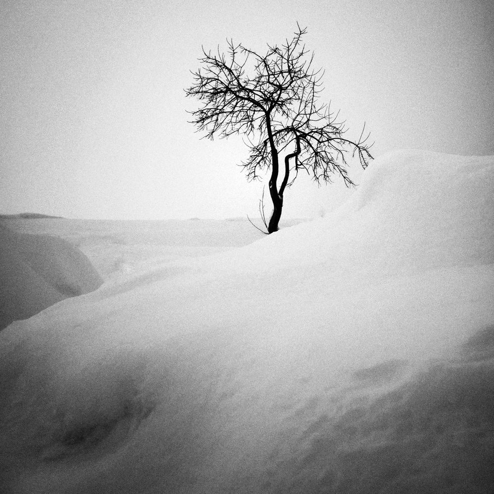 Photograph by Александр Соколов