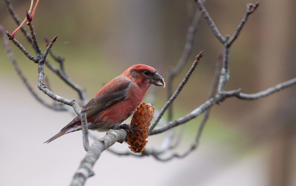 Photograph by ЕЛЕНА Рохо-Фернандес