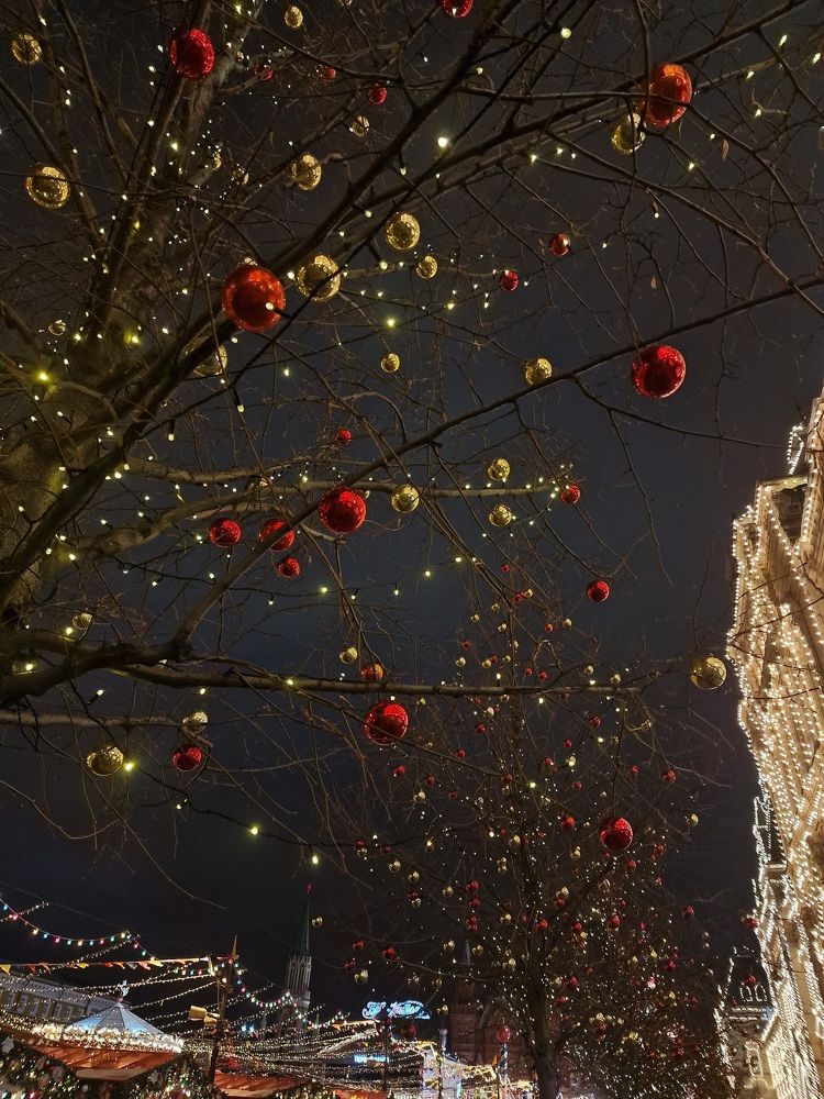 Photograph by Полина Галянина