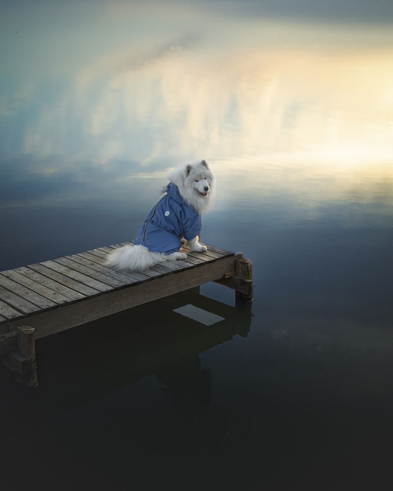 Photograph by Евгения Майорова