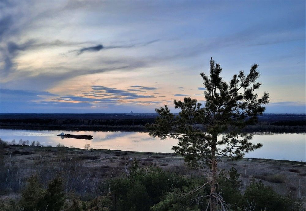 Фотография автора Елена Пикатова