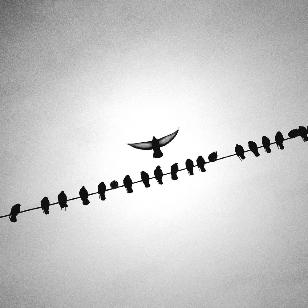 Photograph by Александр Соколов