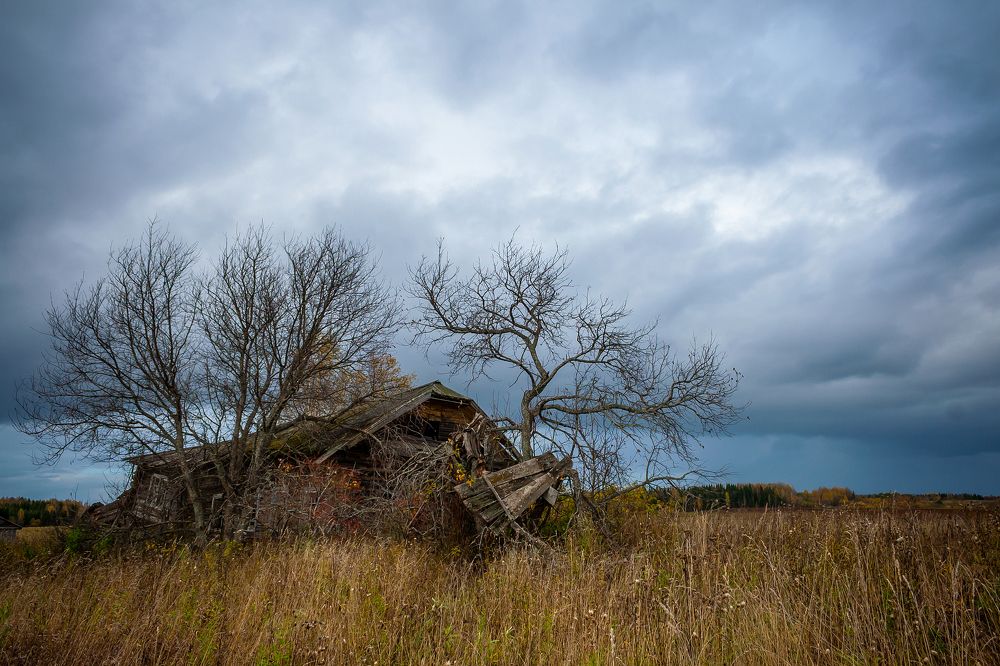 Фотография автора Панагушин Сергей