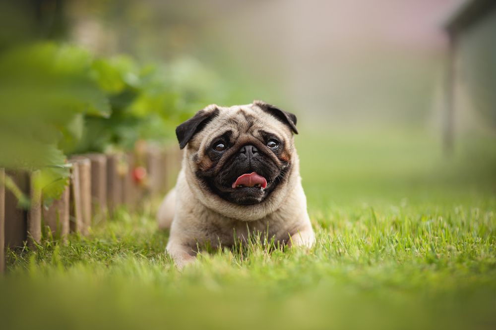 Photograph by Евгения Майорова