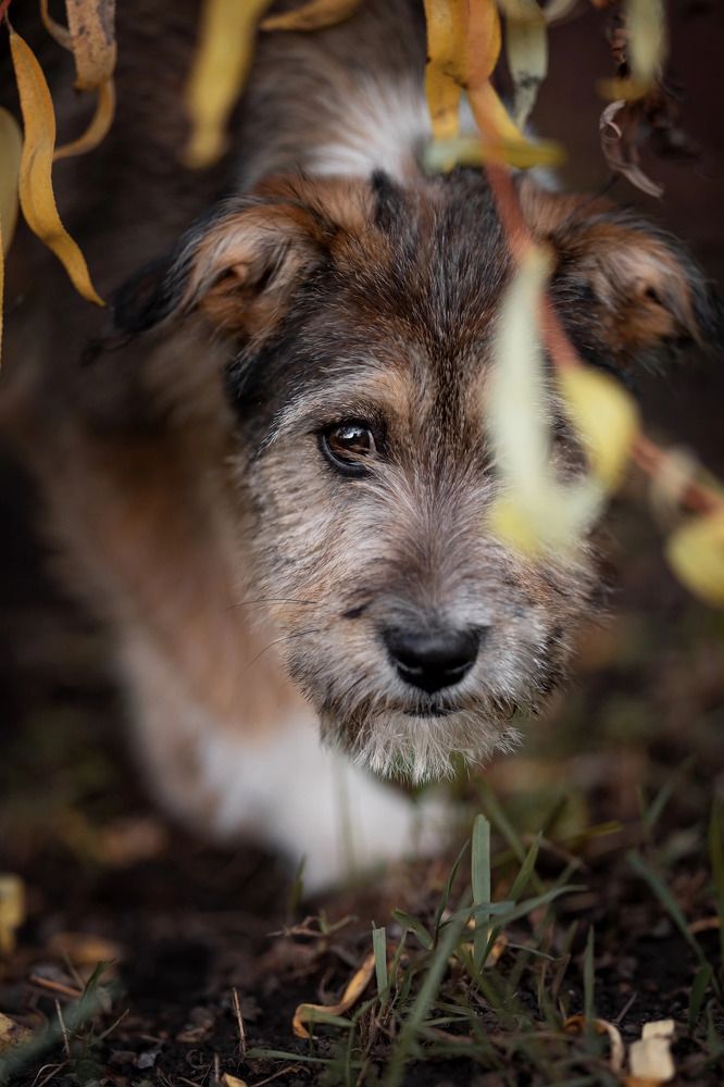 Photograph by Юлия Шатских