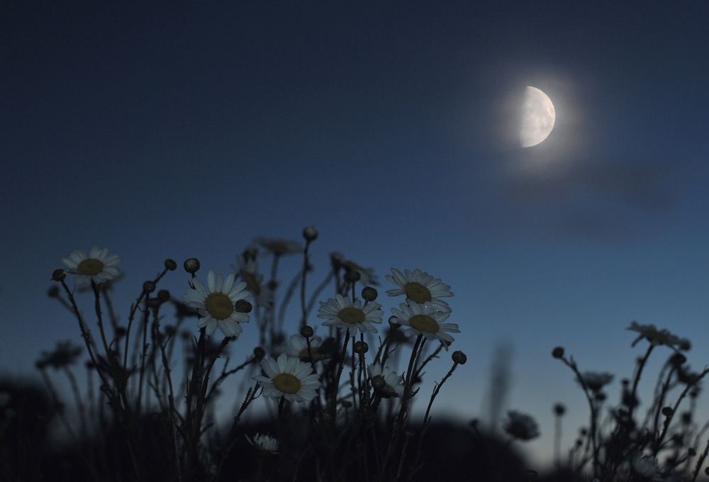 Photograph by Юрий Яковлев