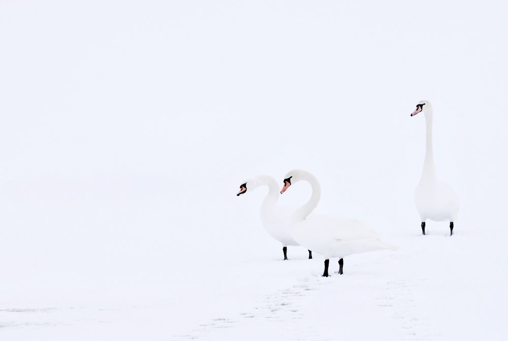 Photograph by Olga Asson