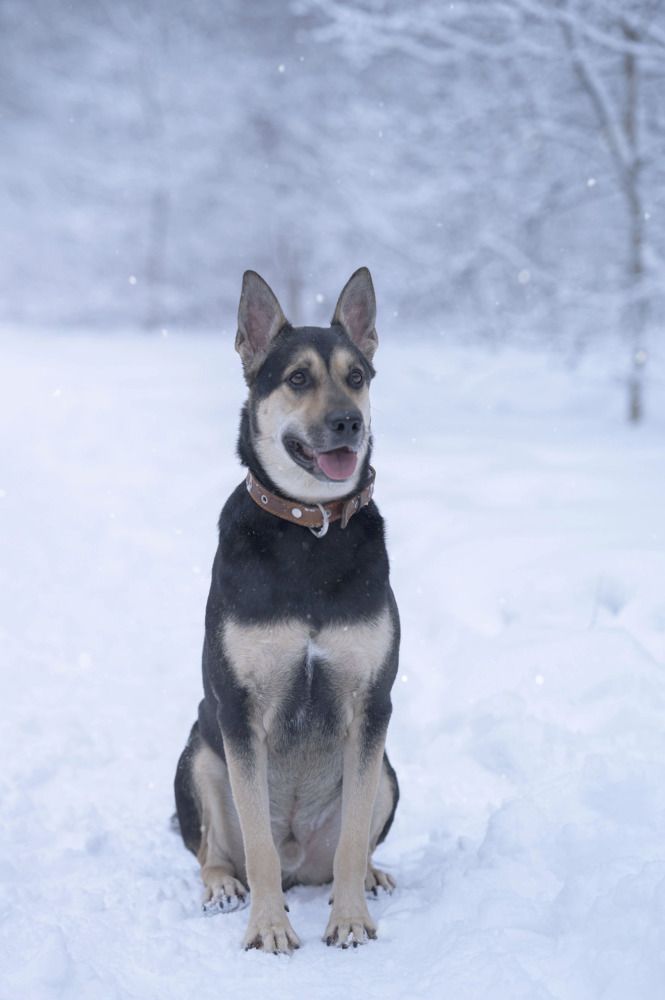 Photograph by Полина Котегова