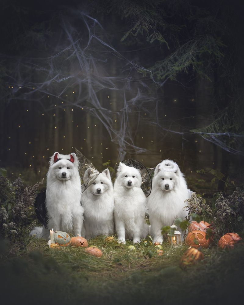 Photograph by Евгения Майорова