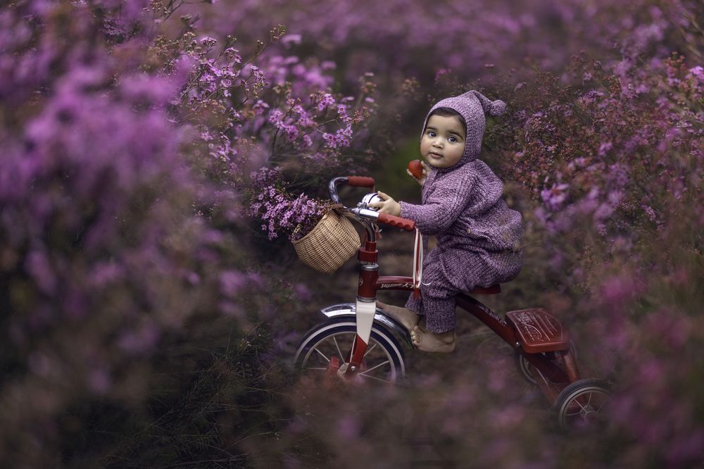 Photograph by Tahel Shenhav