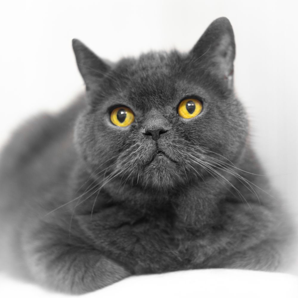 Photograph by Виталий Дорош