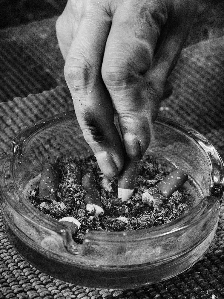 Photograph by Jovan Svorcan