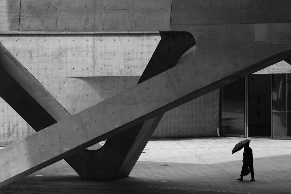 Photograph by Anastasiia Usoltceva