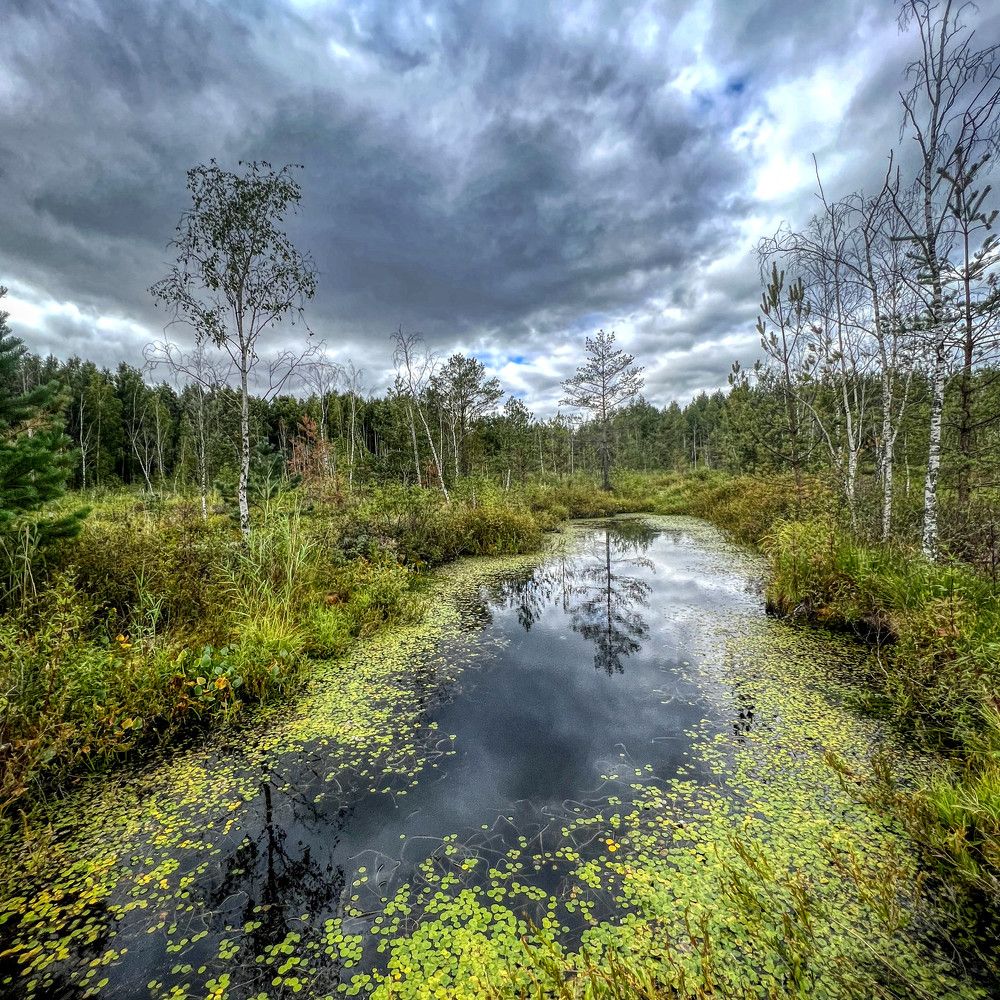 Photograph by Виталий Дорош