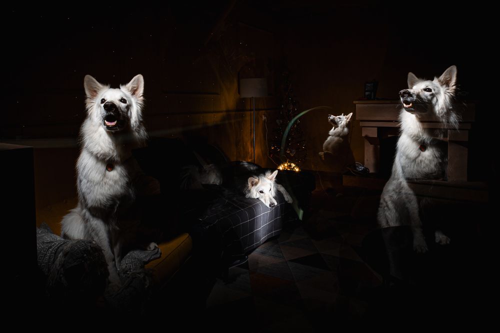 Длинная выдержка и вспышка -- залог небольшой магии:)