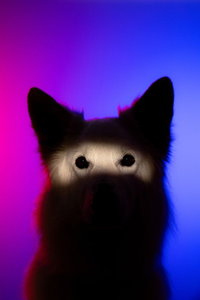 Фотография автора Екатерина Киреева