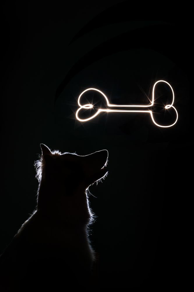 Фотография автора Екатерина Киреева