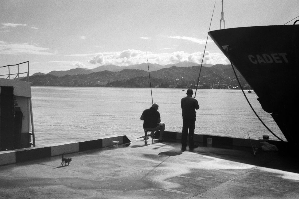 Photograph by Александр Винник