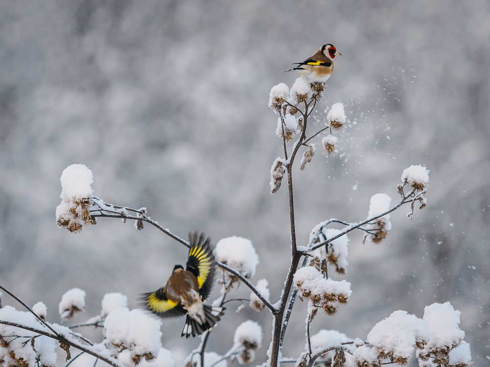 Photograph by Ольга Сергеева