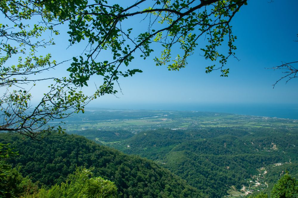 Photograph by Ольга Чуванова