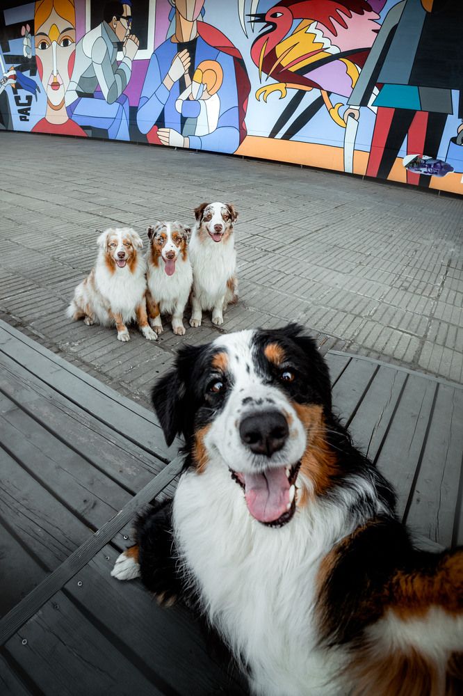 Фотография автора Екатерина Киреева