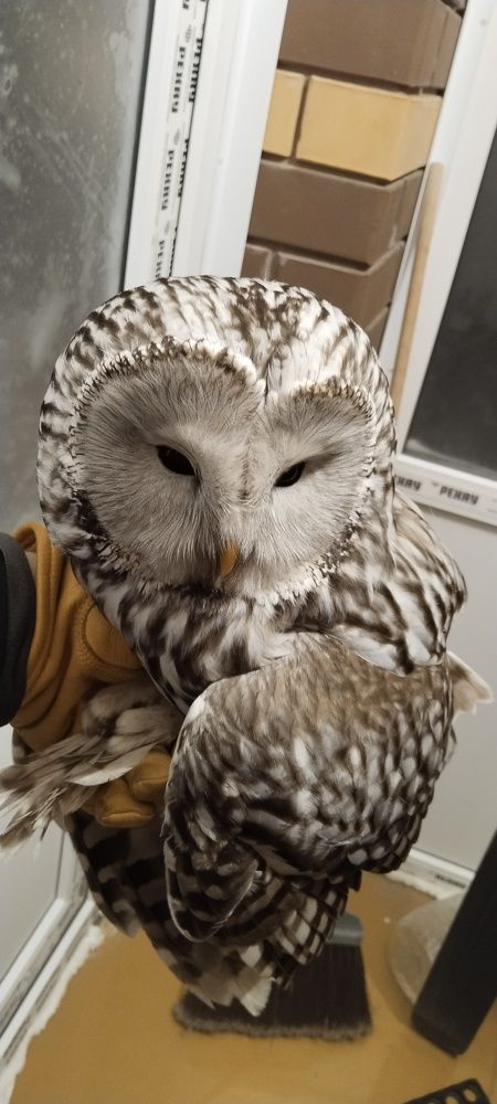 Photograph by Константин Сергеевич