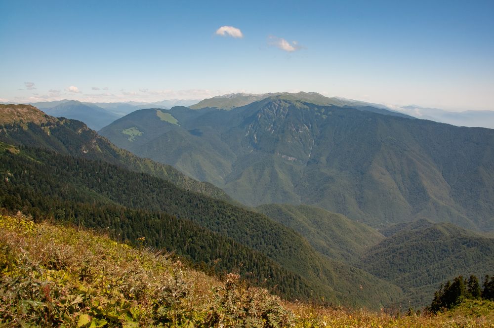 Photograph by Ольга Чуванова