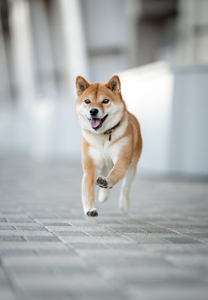 Photograph by Ирина Голомб