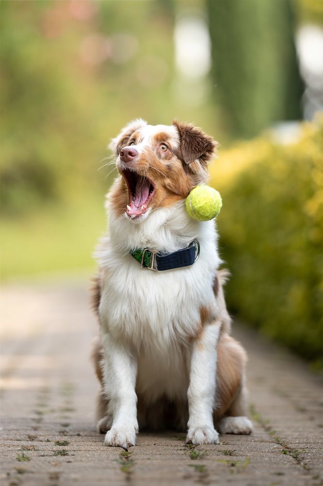 Photograph by Ирина Голомб