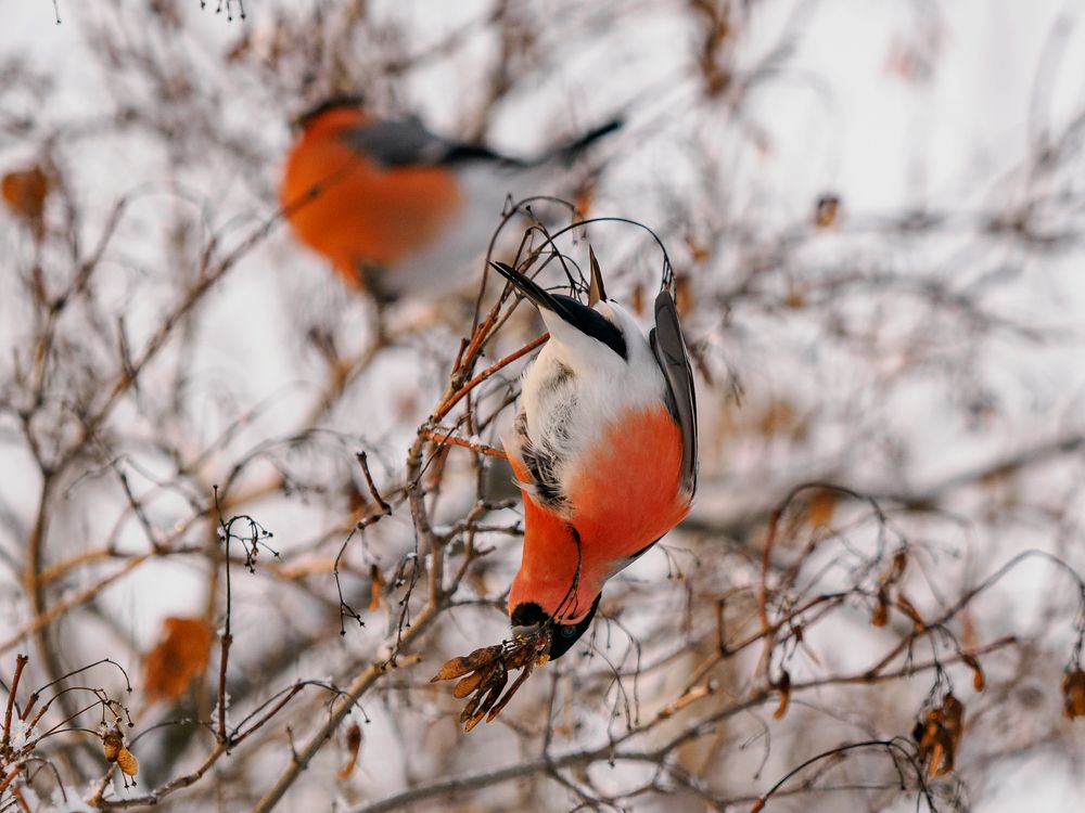 Photograph by Ольга Сергеева