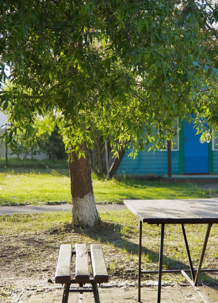 Photograph by Кристина