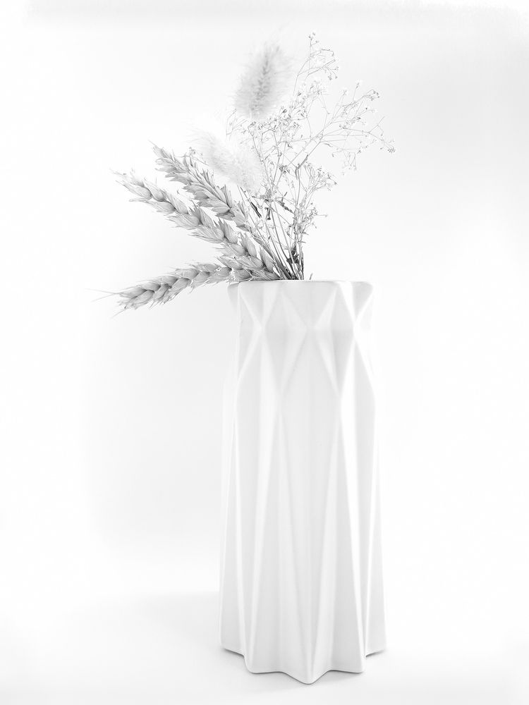 Фотография автора Елена Маслова