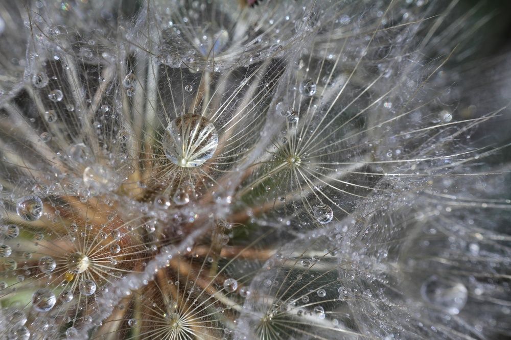 Photograph by Марина Савченко