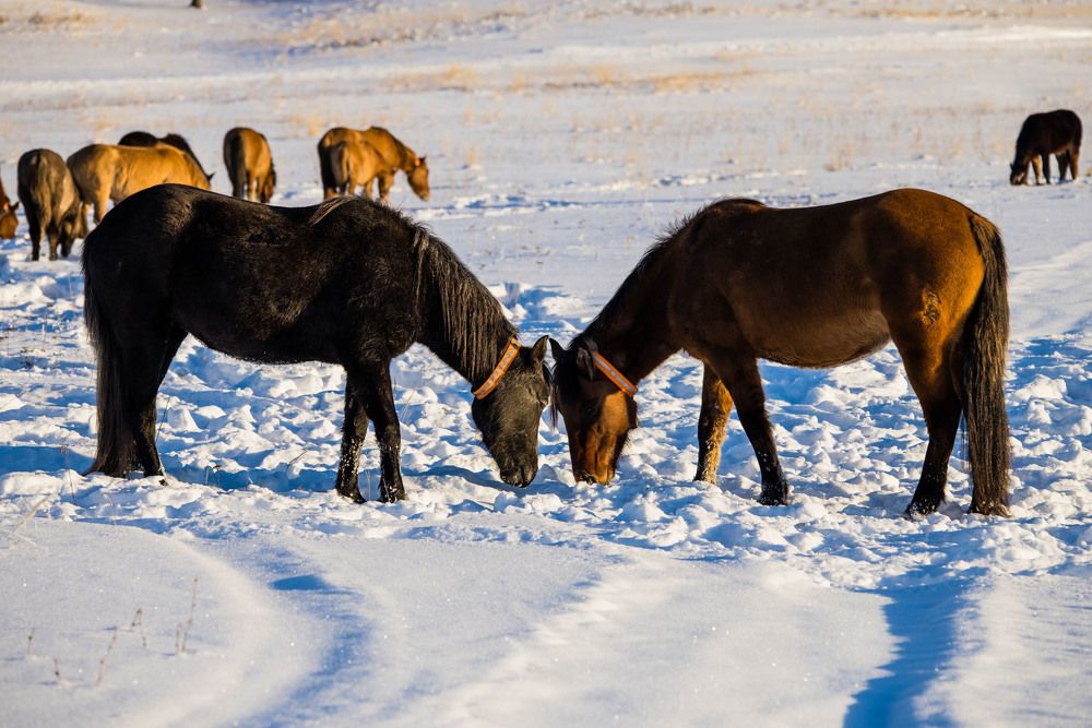 Photograph by Максим Фролов