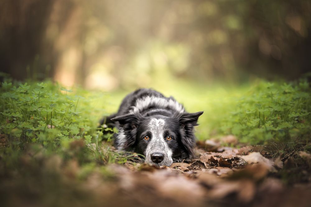 Photograph by Leticia Hernandez