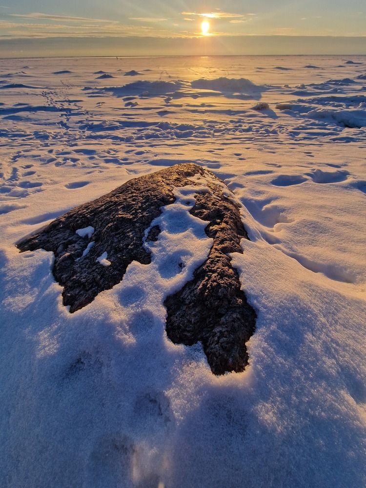 Photograph by Екатерина