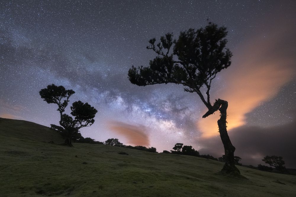 Photograph by Herve Rannu