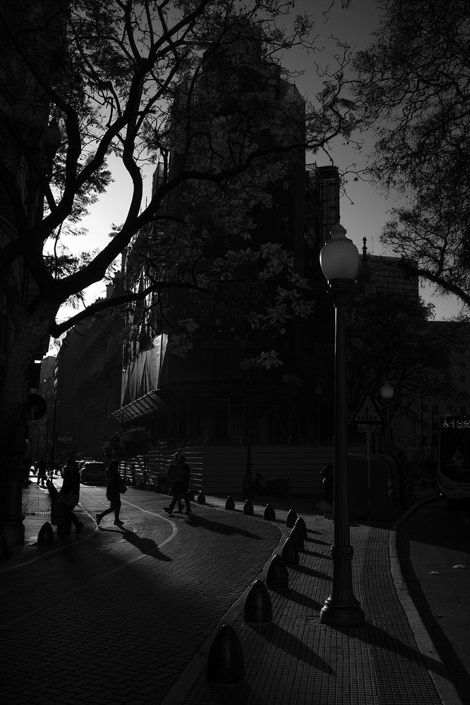 Photograph by Marcelo Argañaraz