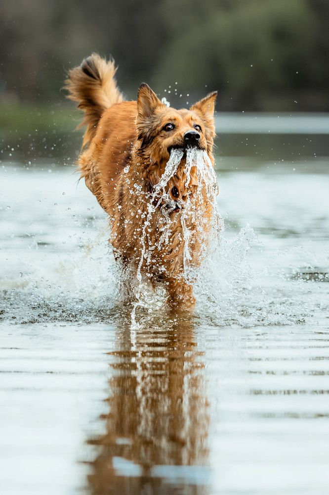 Фотография автора Екатерина Киреева