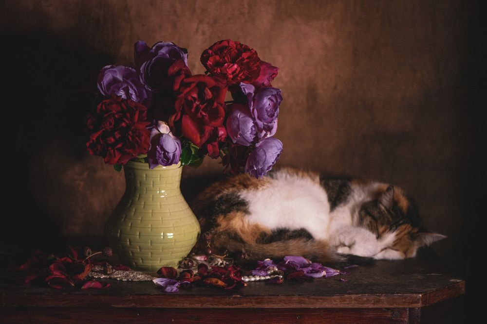 Photograph by Ольга Манудина