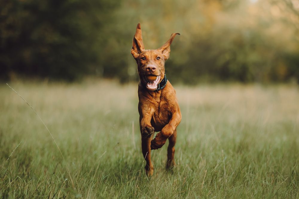 Фотография автора Екатерина Киреева