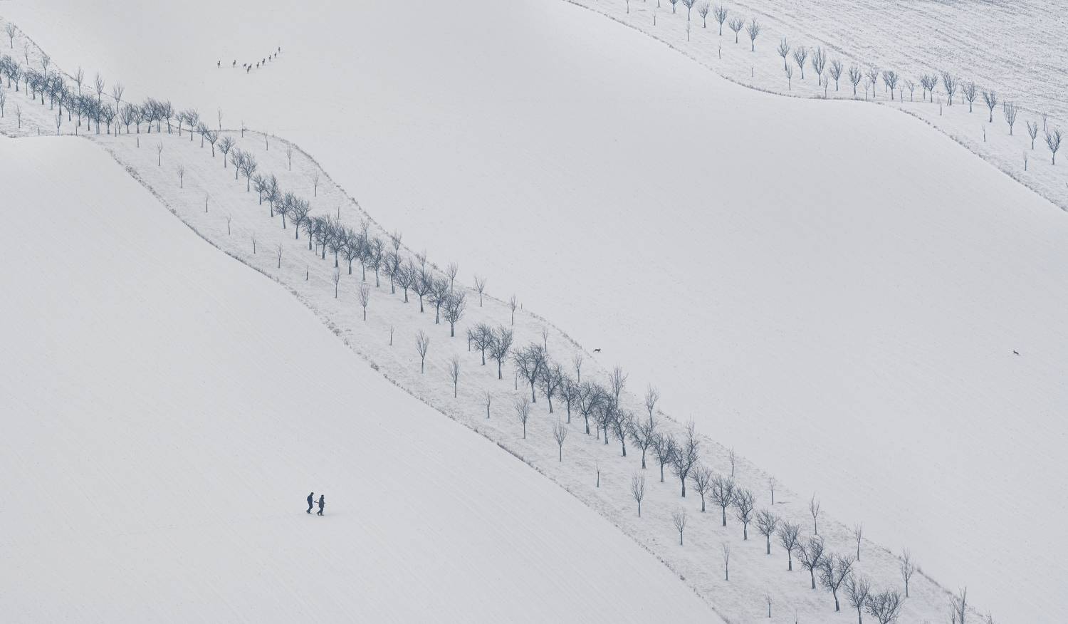 Photo #10313672