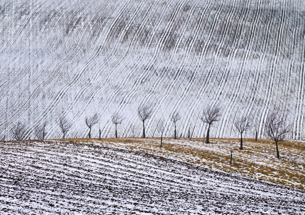 Photograph by Tomáš Frolec