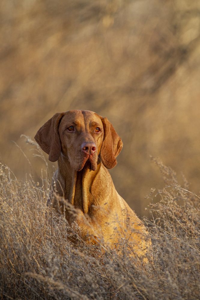 Photograph by Эльнара Васифовна